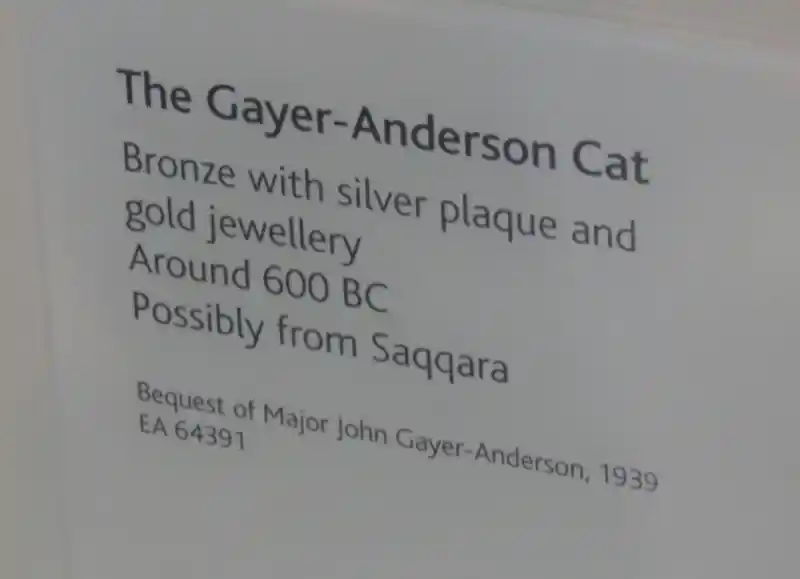 Scarab on the head of the Gayer-Anderson Cat